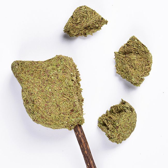 Catnip