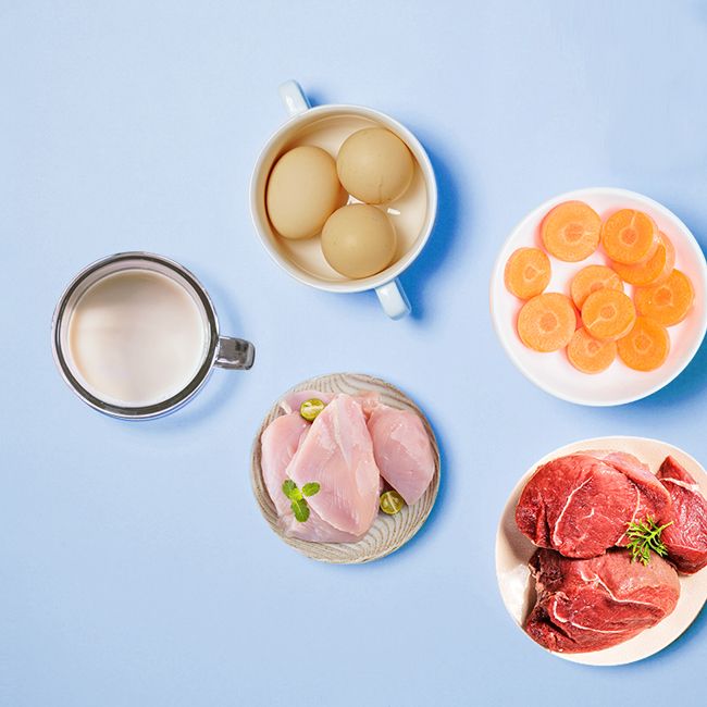 Ousheng Series Puppy Food