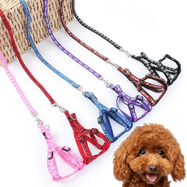 Pet Dog Leash And Collar Set for Outdoor