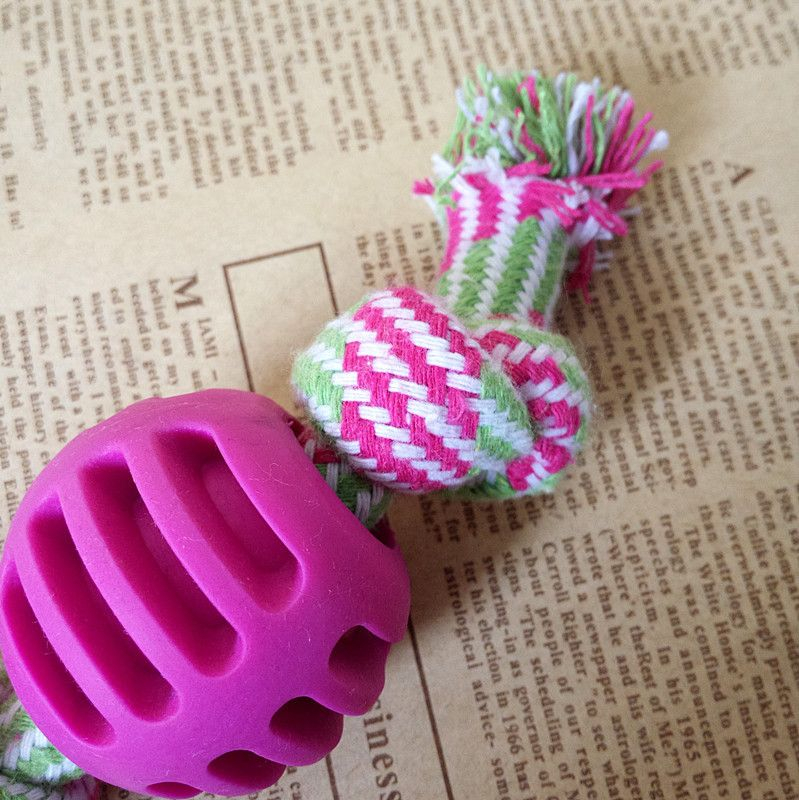 Pet Dog Teething Cleaning Toy
