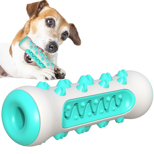 Bone Shape Toothbrush Stick（Pet Molar Stick ）